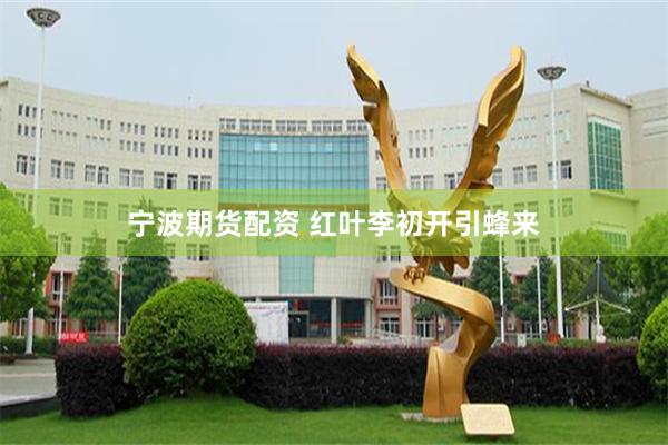 宁波期货配资 红叶李初开引蜂来
