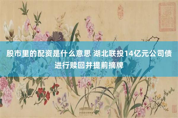 股市里的配资是什么意思 湖北联投14亿元公司债进行赎回并提前摘牌
