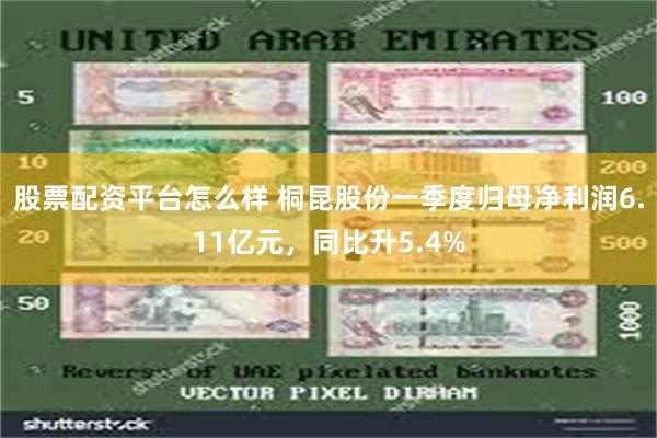 股票配资平台怎么样 桐昆股份一季度归母净利润6.11亿元，同比升5.4%