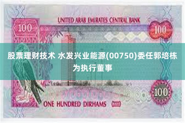 股票理财技术 水发兴业能源(00750)委任郭培栋为执行董事