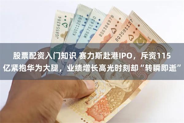 股票配资入门知识 赛力斯赴港IPO，斥资115亿紧抱华为大腿，业绩增长高光时刻却“转瞬即逝”