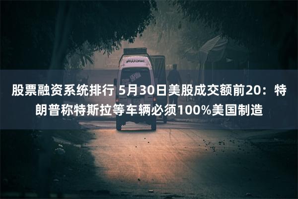 股票融资系统排行 5月30日美股成交额前20：特朗普称特斯拉等车辆必须100%美国制造