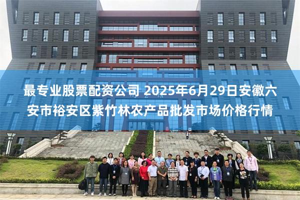 最专业股票配资公司 2025年6月29日安徽六安市裕安区紫竹林农产品批发市场价格行情
